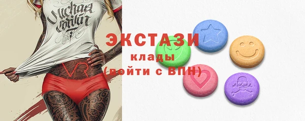 ECSTASY Богородицк