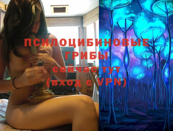 герыч Переславль-Залесский