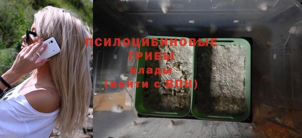 бошки Покачи