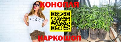 каннабис Аргун