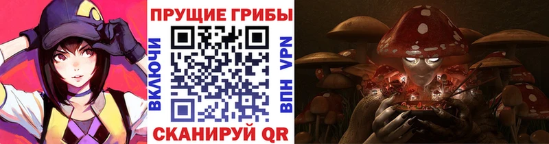 Псилоцибиновые грибы мицелий  цена наркотик  Асино 