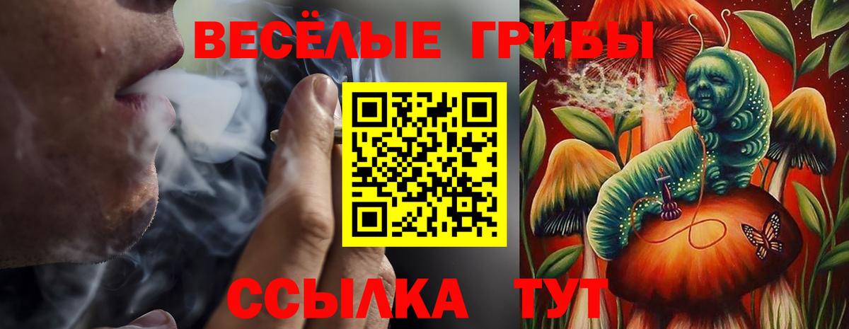 Галлюциногенные грибы Cubensis Асино