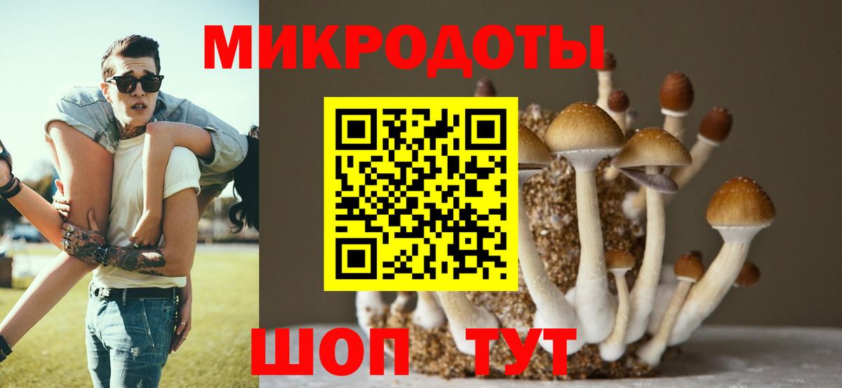 Псилоцибиновые грибы GOLDEN TEACHER  Вход с VPN  Галлюциногенные грибы MAGIC MUSHROOMS  Асино 