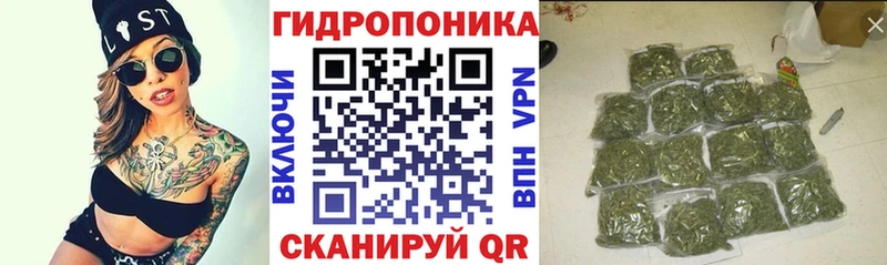 Бошки марихуана Ganja  Асино 